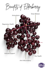 Load image into Gallery viewer, Brew Naturals Elderberry Syrup - 16oz, 8oz, 3.4oz
